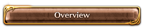 Overview